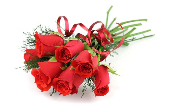 A Bouquet of Fresh Red Roses, It is the Best Gift and Language to Your Lover, Just Give It to Her - Natural Roses Wallpaper