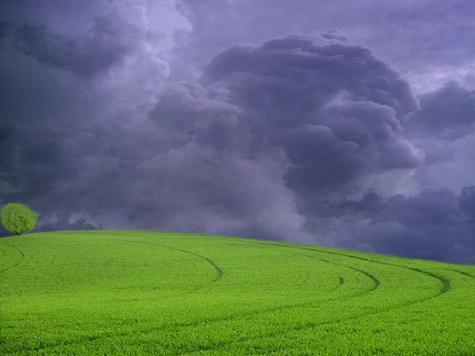 Amazing Landscape Images, Green Grass Under the Dark Sky, Will It Rain?
