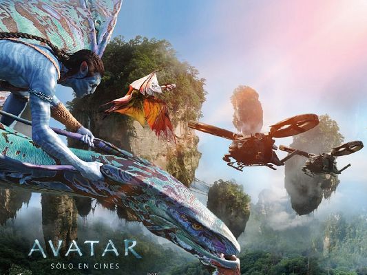Avatar International Poster in 1024x768 Pixel, Avatar on His Dragon, a Safe and Wonderful Journey Can be Expected - TV & Movies Post