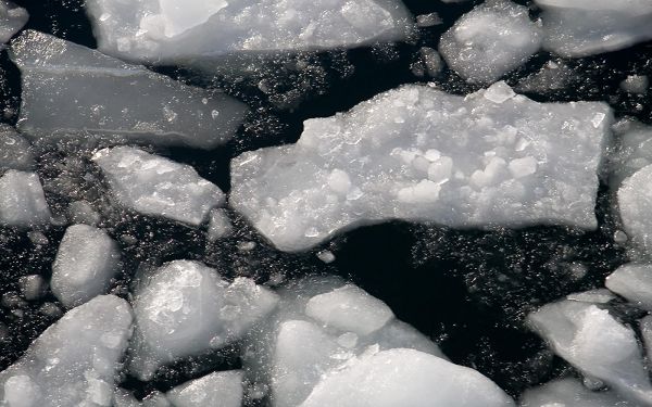 Beautiful Image of Natural Landscape, Afloat Ice, the Dark Sea, Incredible Look