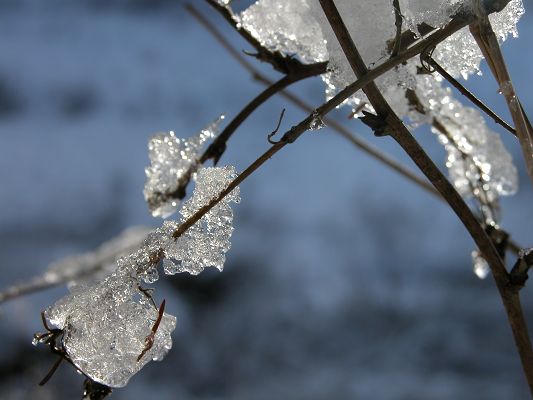 Beautiful Pics of Natural Landscape, Ice on Branch, Refuse to Melt