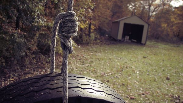 Beautiful Scenes of Nature - A Large Tire Holded Up by a Thick Rope, Fallen Leaves, Safe and Secured