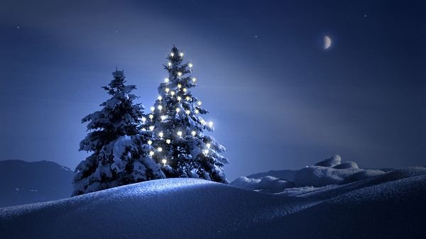 Cold and Silent Winter Evening, Lights on the Tree Shall Warm the Heart Up, Very Impressive Scene - HD Natural Scenery Wallpaper