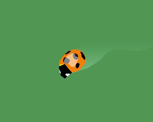 Cute Animals Wallpaper, a Lady Bug on Green Background, is Simple and Impressive