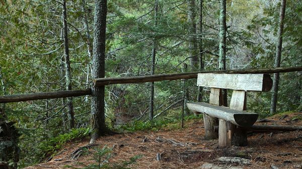 Enjoyable Natural Sceneries - A Wooden Chair Among the Green Scene, Sit Down and Enjoy!
