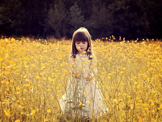 Flower Field Photography, Cute Baby Girl in Yellow Flower Sea, Having Great Fun