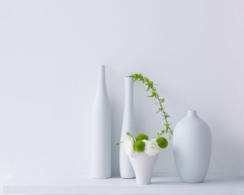Four White Bottles Next to the White Wall, Plants Are Green and White Combined, Style is Clean and Simple - Natural Plants Wallpaper