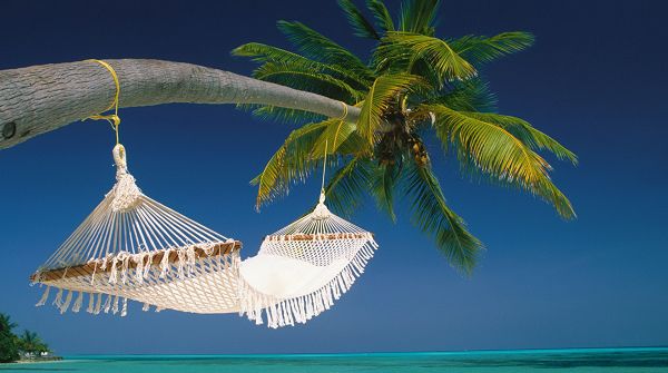 Free Download Natural Scenery Picture - A Bed Hung on the Coconut Tree, Great Beach Scene, Enjoy Your Stay
