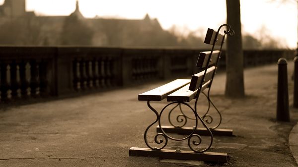 Free Download Natural Scenery Picture - A Clean Street, a Small Wooden Chair by Its Side， Great in Look
