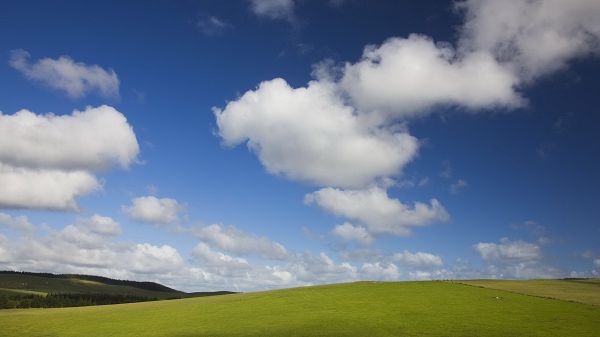 Free Download Natural Scenery Picture - A Field of Green Grass Under the Blue Sky, Great Natural Scene