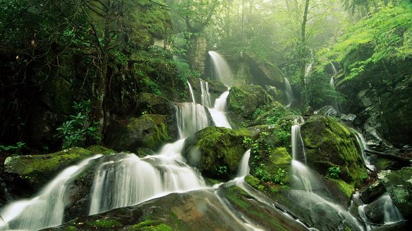 Free Download Natural Scenery Picture - A Full Eye of Green, a Waterfall Flowing Through, Combine Quite a Scene