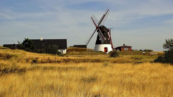 Free Download Natural Scenery Picture - Windmills and Houses Among the Golden Plants, the Blue Sky 
