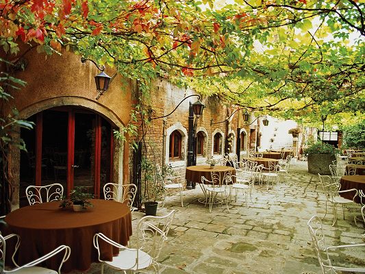 Free Download Natural Scenery Wallpaper - Dining Alfresco Venice Italy, Taking Diners Back to the Orchard