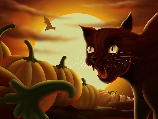 Free Game Post, Angry Cat is Screaming, a Pile of Pumpkins in Front, Eat Them Up