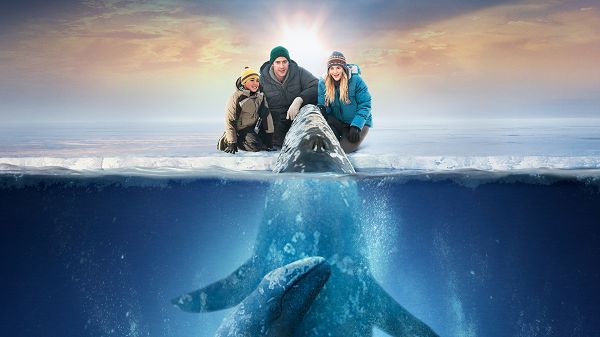 Free Scenery Wallpaper - A Post of Big Miracle, Reminding People to Protect Animals!