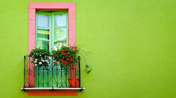 Free Scenery Wallpaper - Includes Green Wall Window, Looking Good on All Digital Devices!