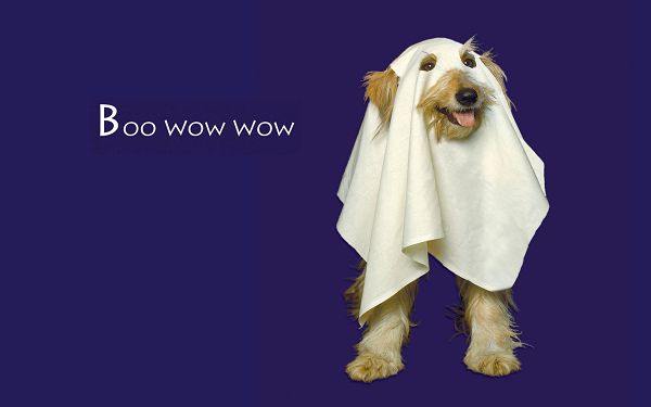 Free Scenery Wallpaper - Includes a Boo Wow Wow Dog, Adds You Fun for Halloween's Day!
