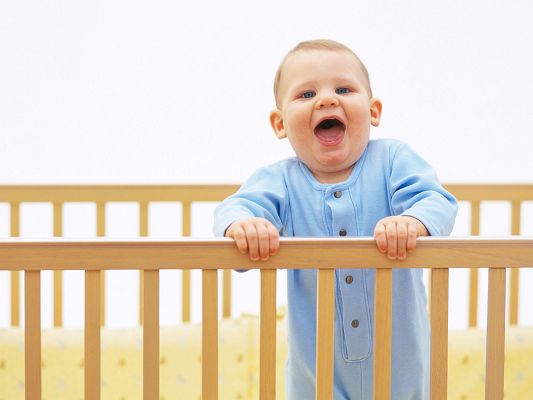 Free Scenery Wallpaper - Includes a Little Baby Boy, Is He Going to Climb over the Fence?