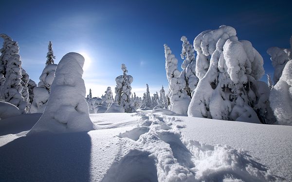 Free Scenery Wallpaper - Shows the Scene of Winter in Finland, What a Pure and Wonderful World!