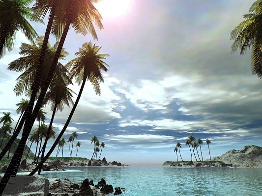 Free Scenery Wallpaper - Sunlight, Quiet River and Coconut Trees, Fit for All Users!