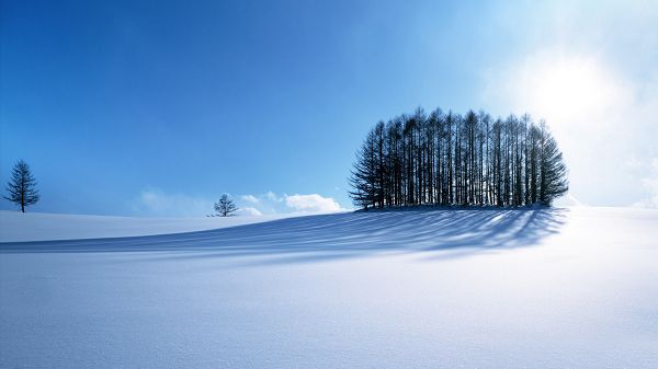 Free Scenery Wallpaper - With a Winter and Snowy Scene, an Amazing One!