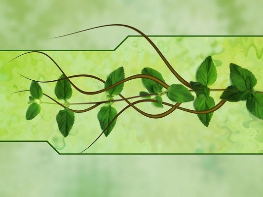 Free Wallpaper - Includes Green Plants and Its Vines, A Must Have for Frequent Computer Users!