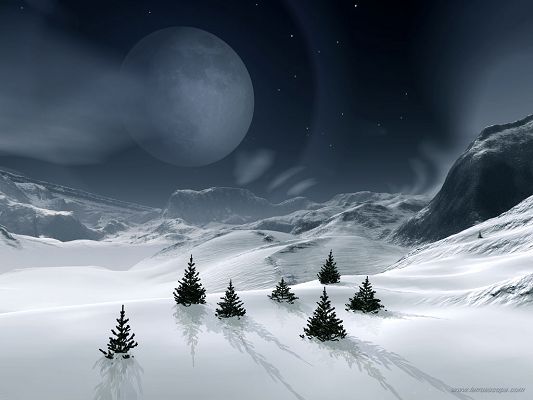 Free Wallpaper - Includes a Snowy World and Pine Trees, All Natural Beauty!