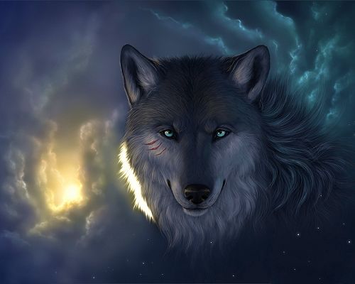 Free Wallpaper - The Most Impressed for the Determination and Power of the Wolf!