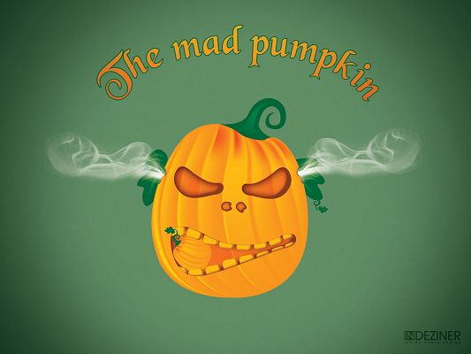 Funny Pics of Fruits, Angry Pumpkin, Smoke is Around Its Ears, It is So Much Irritated