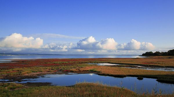 Natural Scenery image - Both the Sky and the Sea Blue, Water Fields by the Sea, White Flowing Clouds