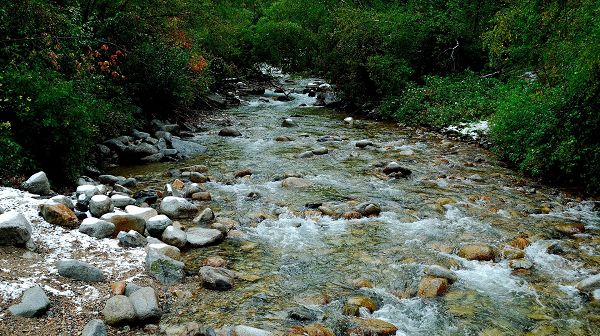 Natural Scenery image - Clear River and Clean Stones, Great Natural Scene That Fits 