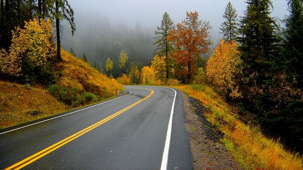 Natural Scenery images - Narrow and Clean Road, an Impressive and Misty Scene