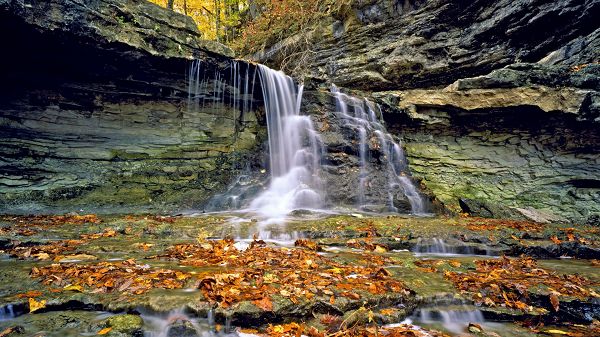 Natural Scenery photo - Fallen Leaves on the Bottom of Waterfall, a Typical Autumn Scene