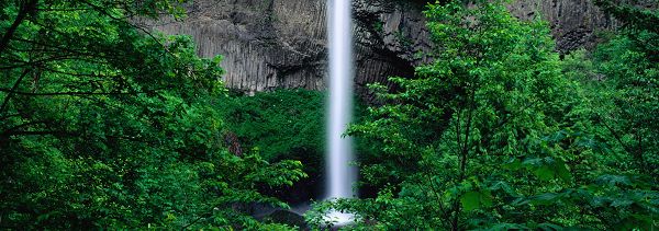 Natural Scenery picture - A White Waterfall Going Down, Surrounded by Green Trees, Like a Lightning