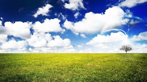 Natural Scenery pictures - The Green Wheets Under the Incredibly Blue Sky, White Clouds As Decoration