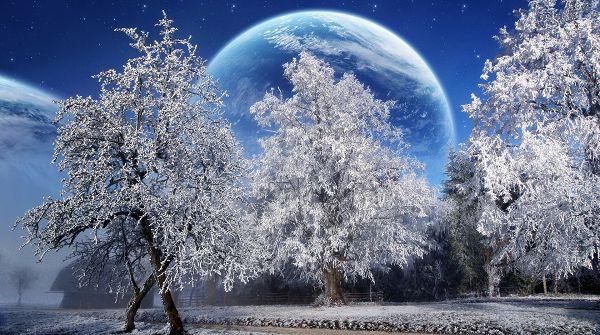 Natural Scenery pictures - Trees Covered with Thick Snow, Planets Serve as Background, Too Good to be True