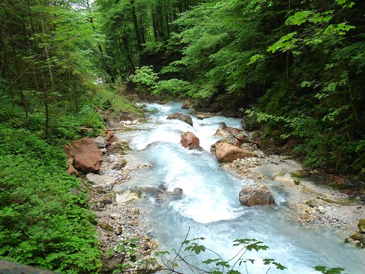 Nature Landscape of the World, River near Berchtesgaden, Rapid Flow, Green Trees Alongside