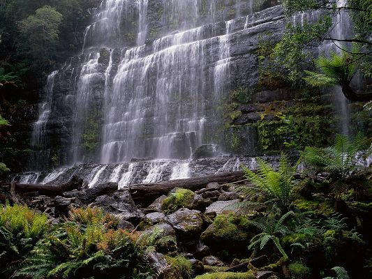Nature Landscape of the World, Russell Falls, the Green Plants in Great and Prosperous Growth