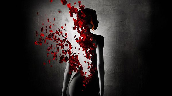 Perfume The Story of a Murderer in 1920x1080 Pixel, Red Flowers Flying Among the Naked Woman, She is Such a Fit - TV & Movies Wallpaper