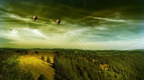 Photos of Beautiful Scenery - The Balloons Are in Order with the White and Thin Lines, the Green Plants Beneath