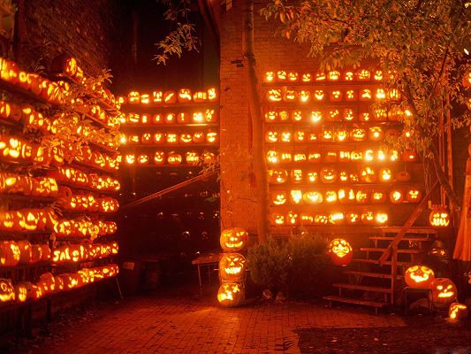 Pics of Holidays, a Number of Pumpkins on Fire, Spread Halloween's Day Atmosphere