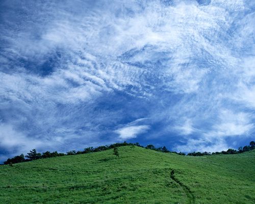 Pics of Natural Scenery, Green Hills Under the Blue and Cloudless Sky, Green Scene