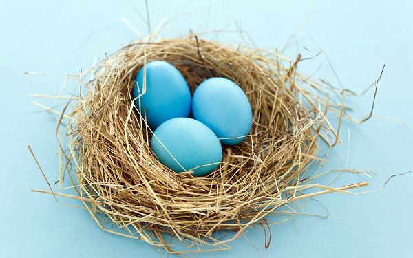 Three Blue Eggs and Blue Background, Fitting Each Other Quite Well, an Outstanding Combination - HD Colorful Eggs Wallpaper