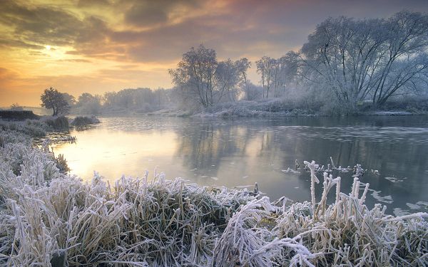 Trees Alongside the River Are Full of Snow, Coldness is Easy to Imagine, Yet the Sun is Coming Out, There is Anticipation - HD Natural Scenery Wallpaper
