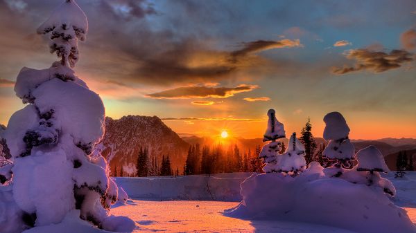 Trees and Hills with Thick Snow, the Rising Sun, Snowy Day Can be Quite Fun - HD Natural Scenery Wallpaper
