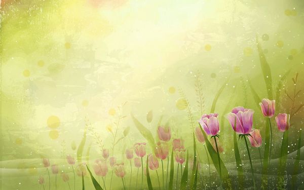 Tulips All over the Picture, Some Transparent, Green Background is Combined, an Incredible Scene - Natural Scenery Wallpaper