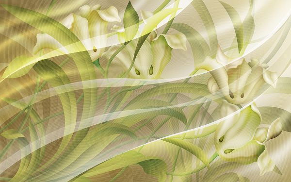 White Flowers in Full Bloom, Crossed Lines and Green Leaves Serve as Decoration, Like a Scene in Dream - Hand-Drawn Flowers Wallpaper