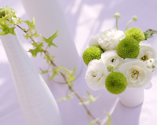 White and Green Flowers, You Feel Great Freshness and Clearness, is Such a Good-Looking and Pleasant Scene - Indoor Scenery Wallpaper