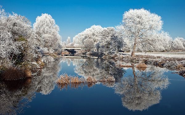 Winter and Snow Shall Prepare Everything a White Suit, They Are More Beautiful and Attractive - Natural Scenery Wallpaper