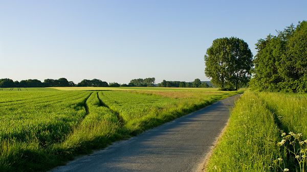 beautiful pictures of nature - All Well-Organized Fields, Narrow and Clean Road Passing by